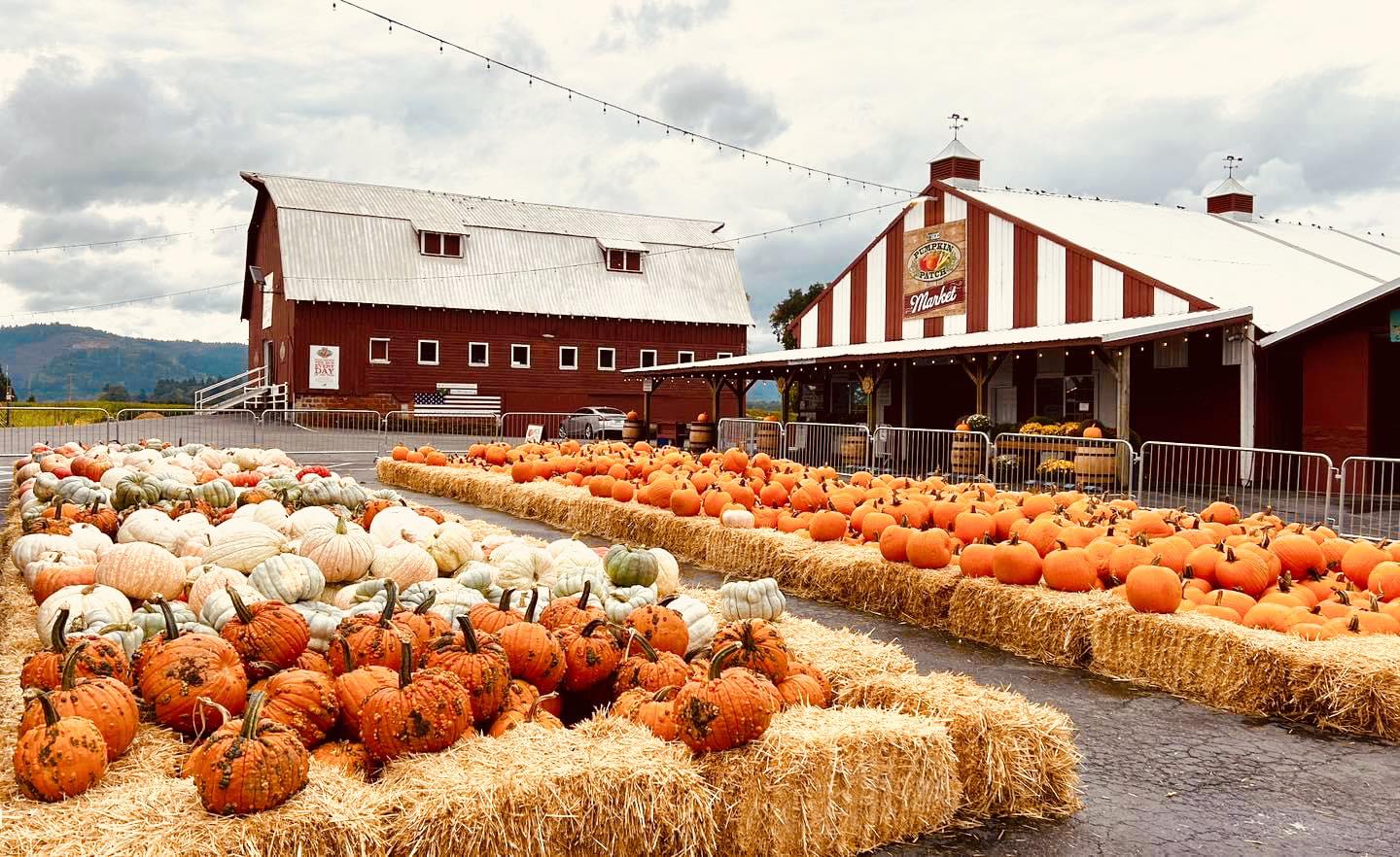 Portland Pumpkin Patch 2025