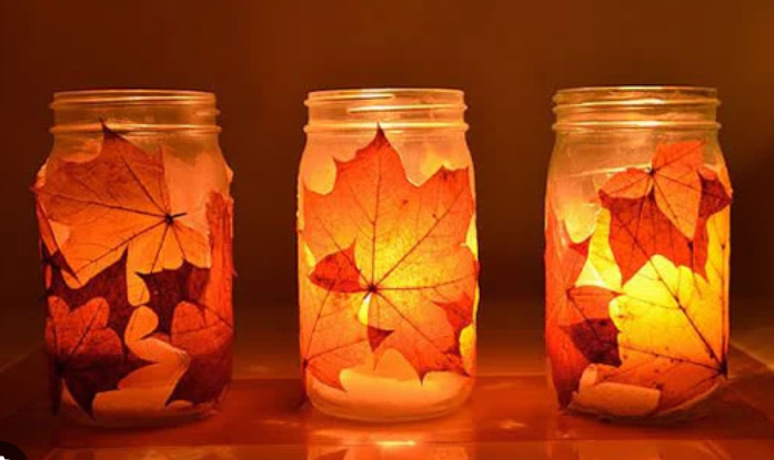 A group of glass jars with leaves inside

Description automatically generated