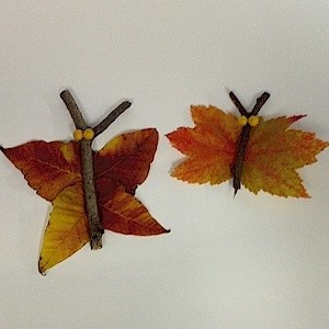 A couple of leaves made to look like butterflies

Description automatically generated